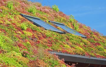 Dunshalt living roof systems