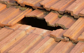 roof repair Dunshalt, Fife